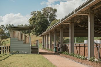 Listing image for 40 Donnellys Road, Ridgewood  QLD  4563